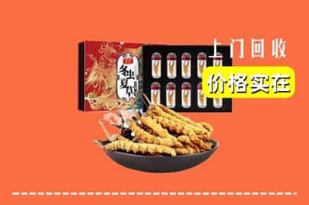 集宁区回收冬虫夏草